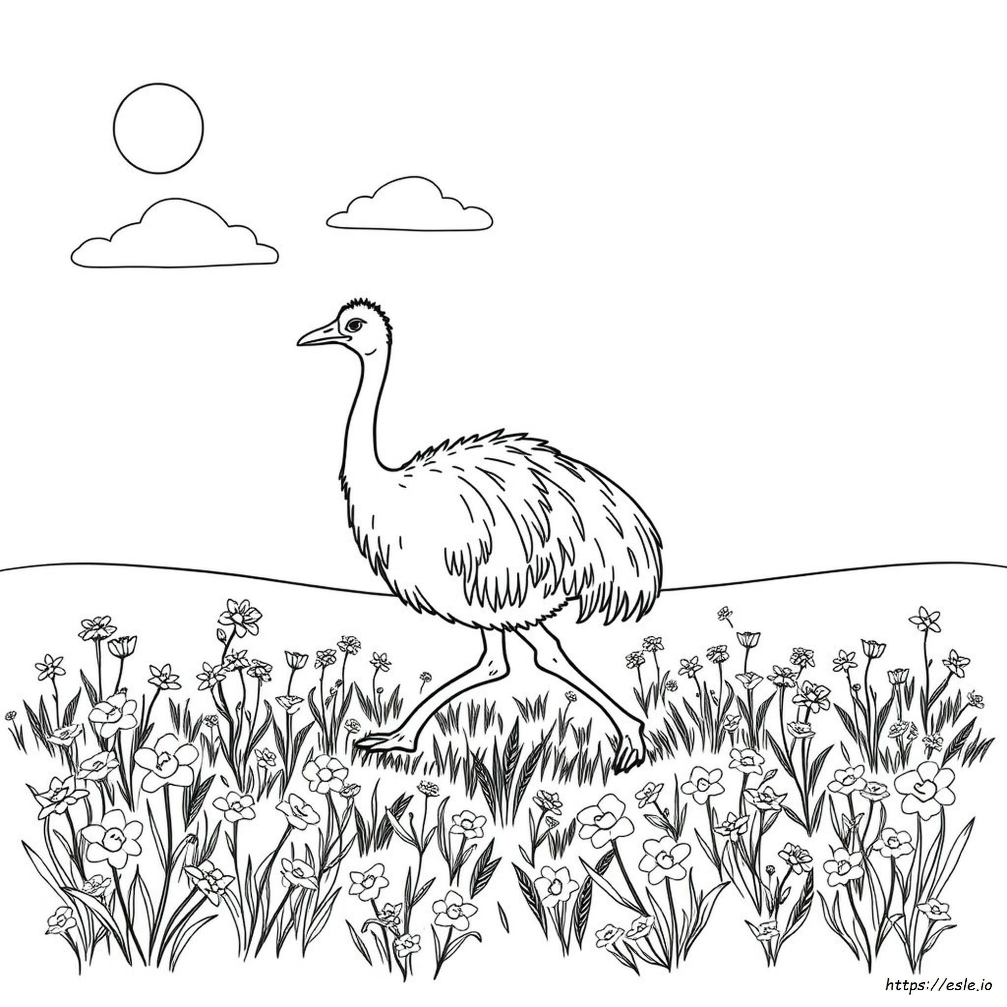 Emu Värityskuvat
