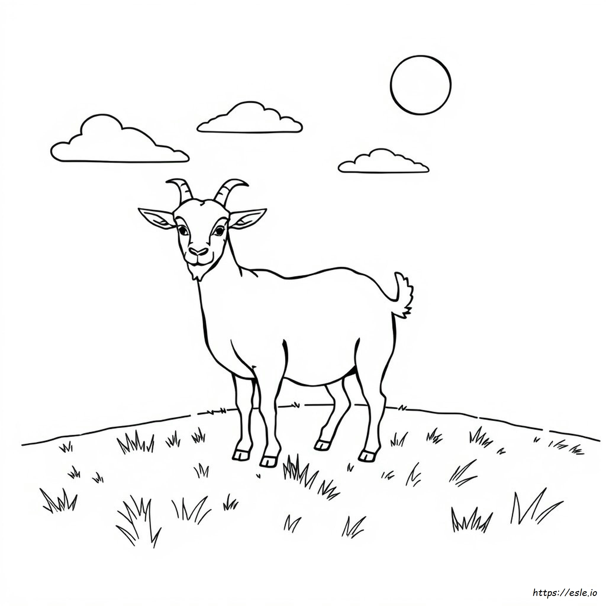 Goat Colouring Images