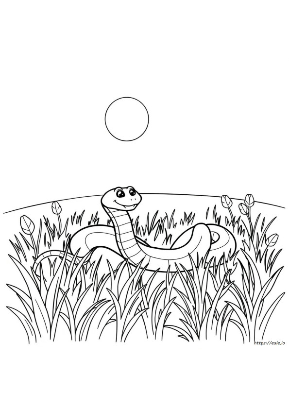 Kígyó Színező Oldalak Pdf