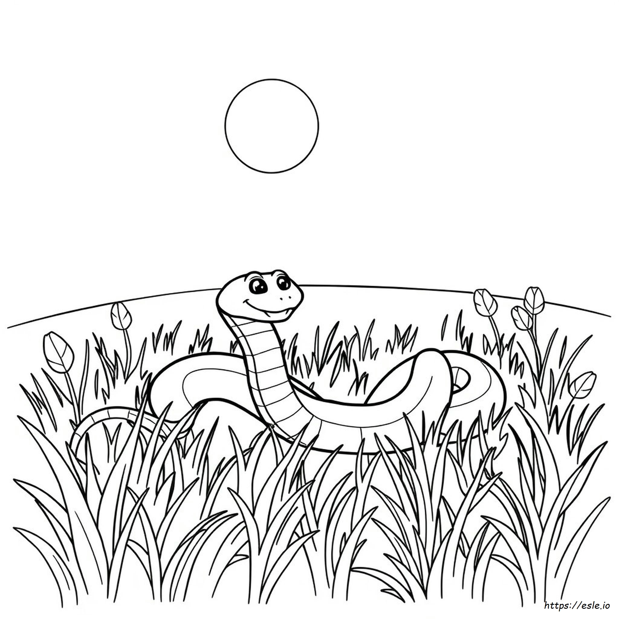 Serpente Da Colorare Pdf