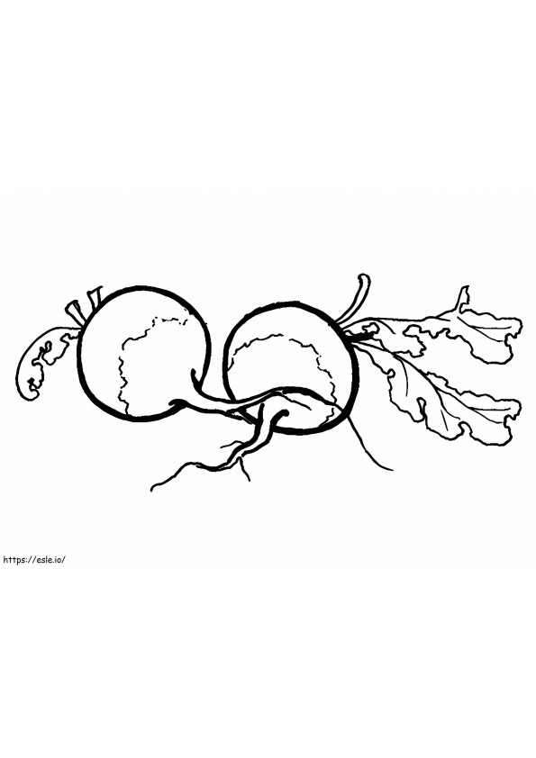 The Beetroots A4 E1600560223938 coloring page