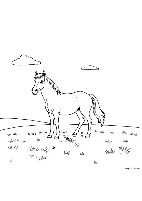 Colouring Sheet Horse