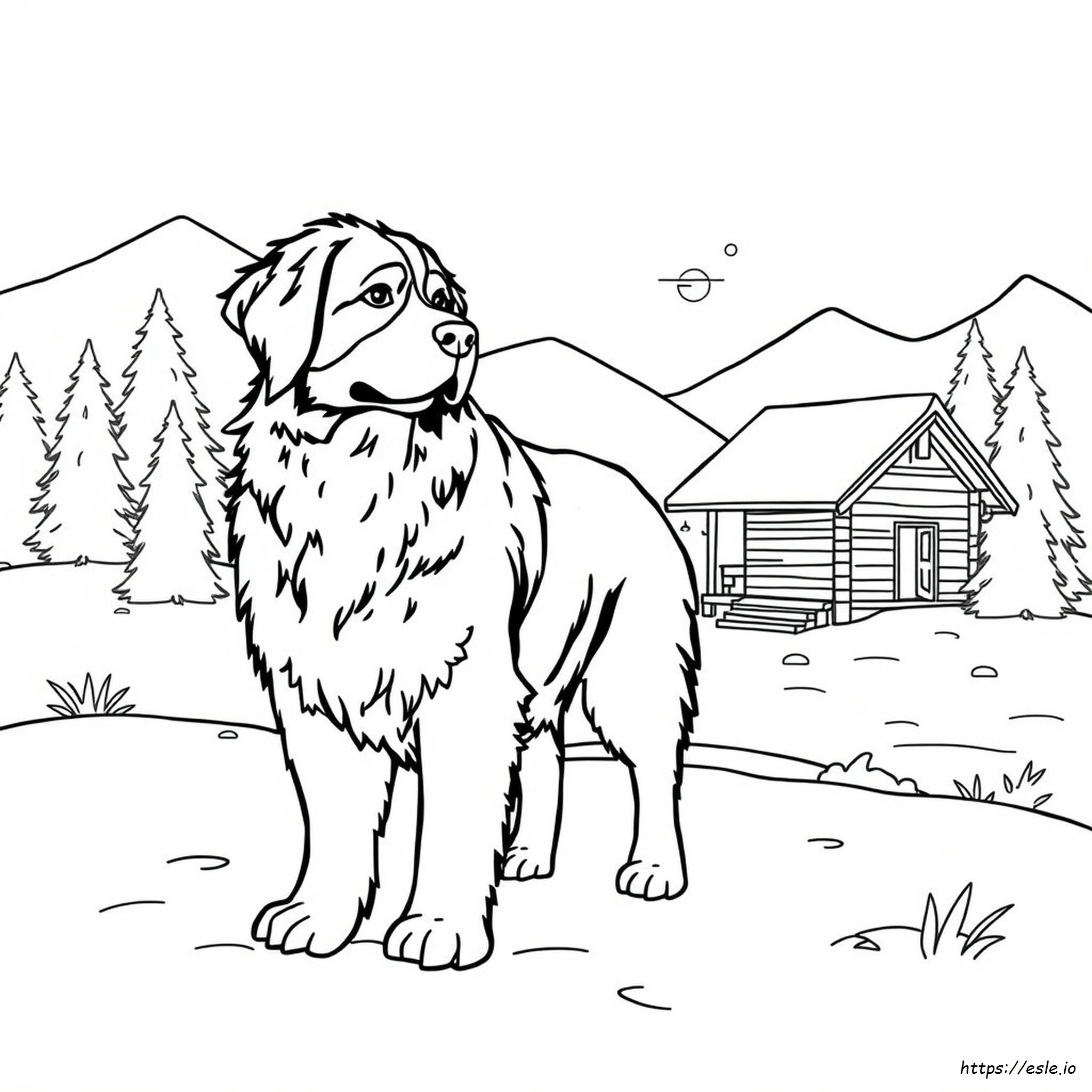 Bernese Mountain Dog Coloring Page