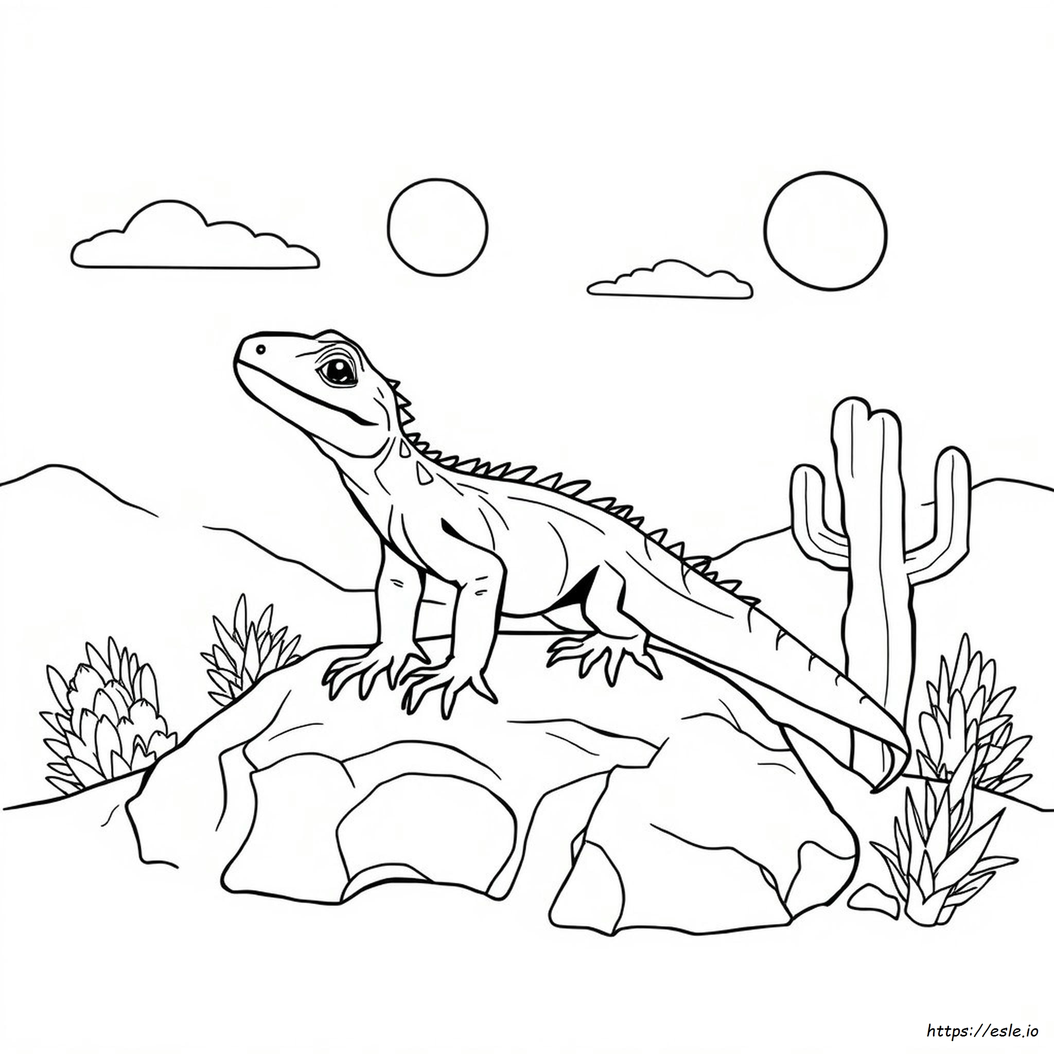 Animal Coloring Pages Lizard