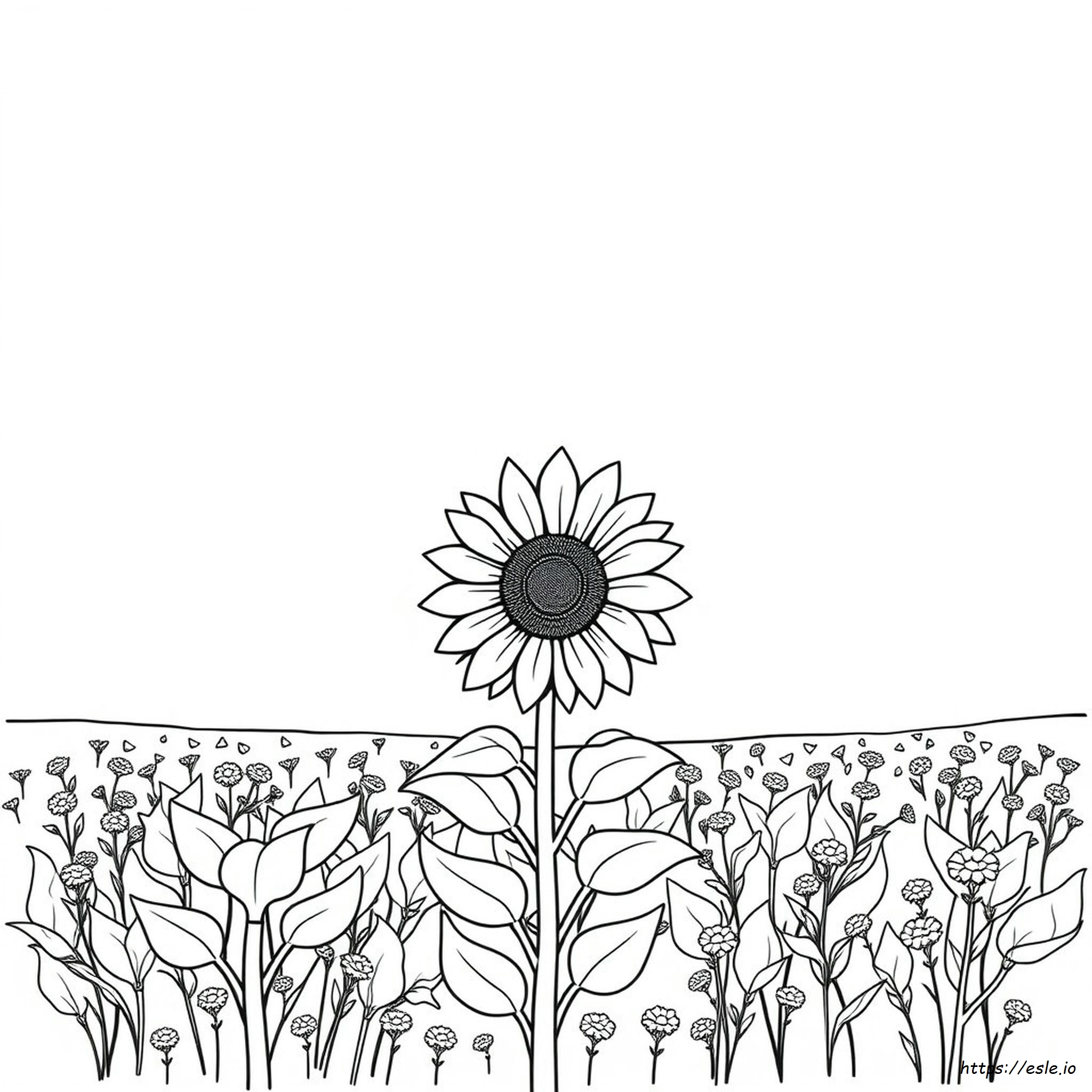 Sonnenblume Ausmalbild