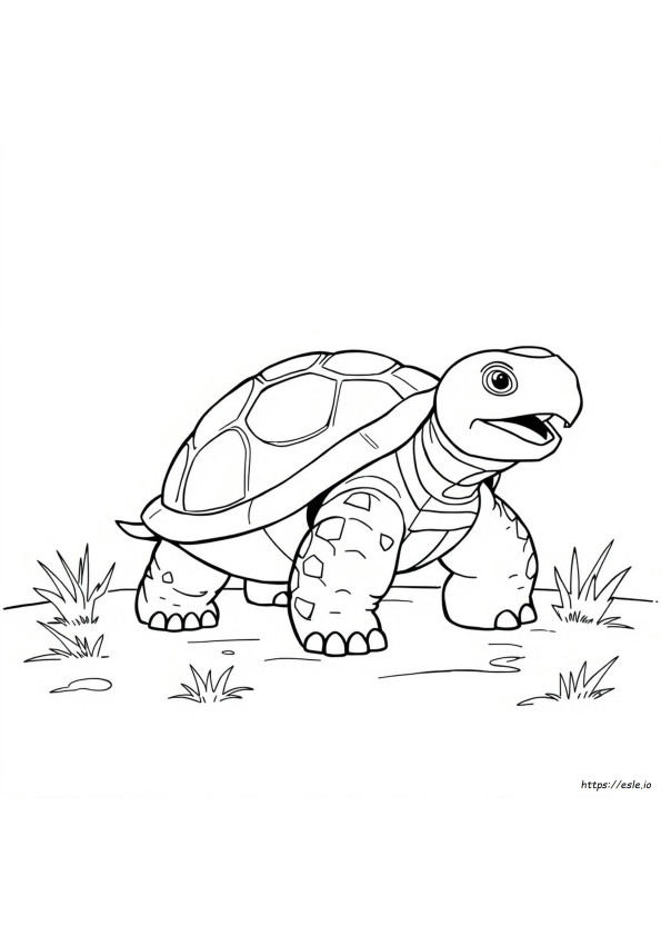 Blastoise Színező