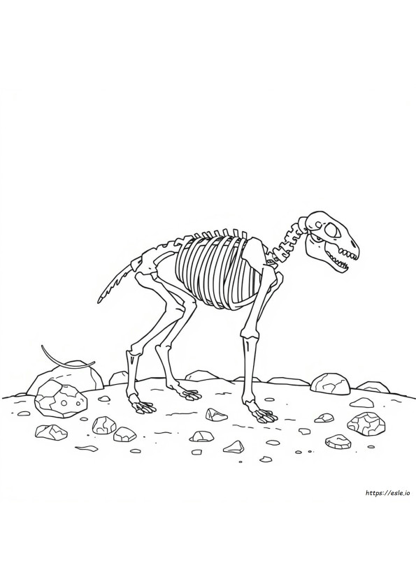 動物の骨のぬりえ