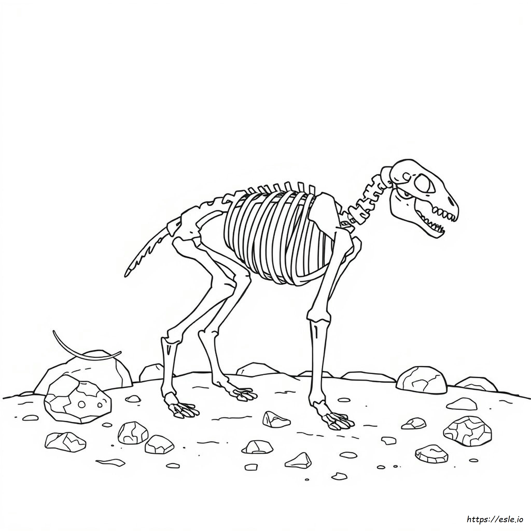 Animal Skeleton Coloring Pages