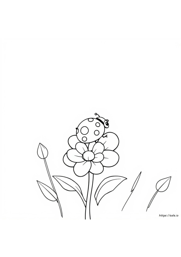 Coloriages Coccinelle Mignonne