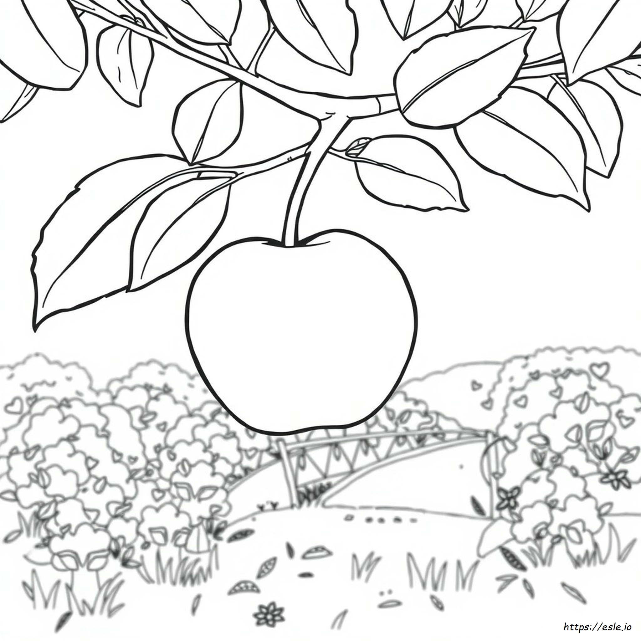 Pic Of Apple For Colouring