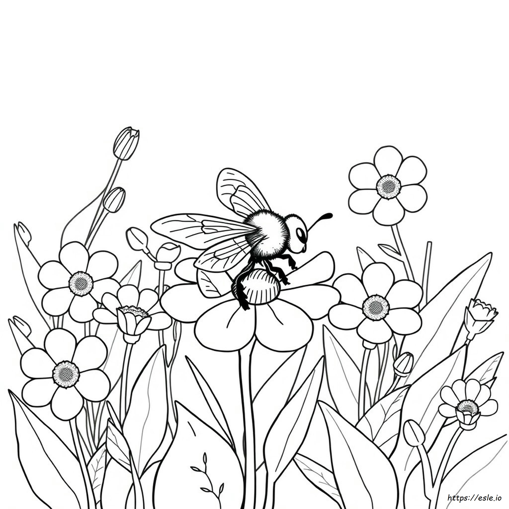 Abeja Para Colorear