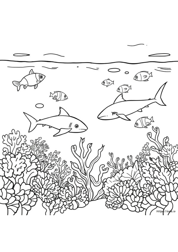 Animals In The Sea Coloring Pages