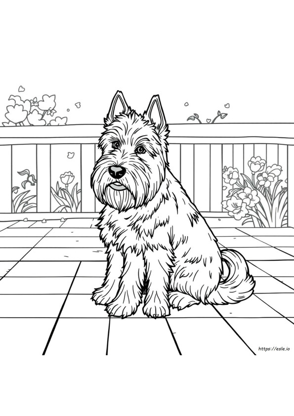 Kolorowanki West Highland Terrier