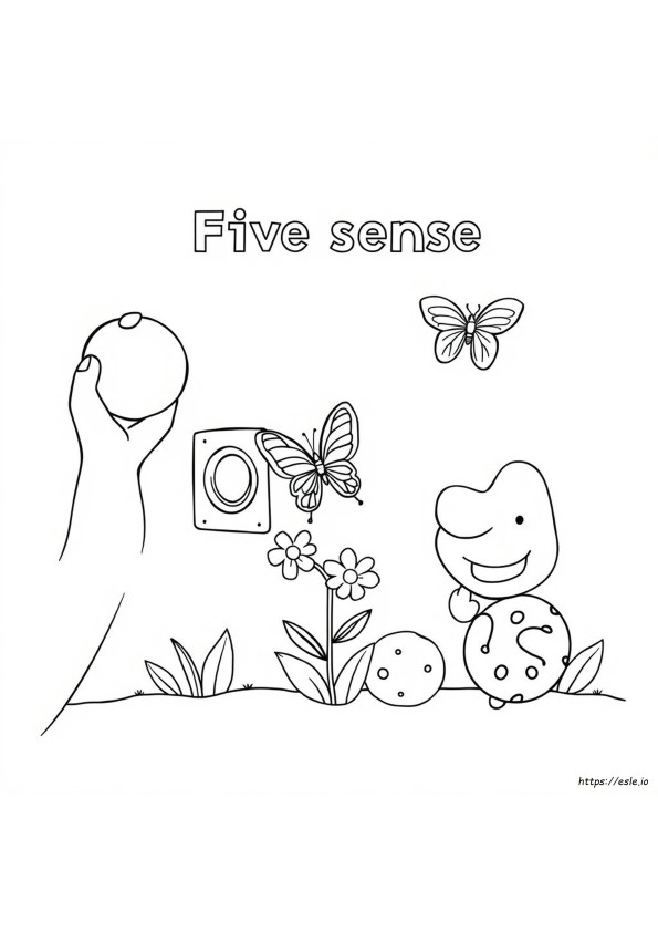 Coloriages Les Cinq Sens Pour La Maternelle