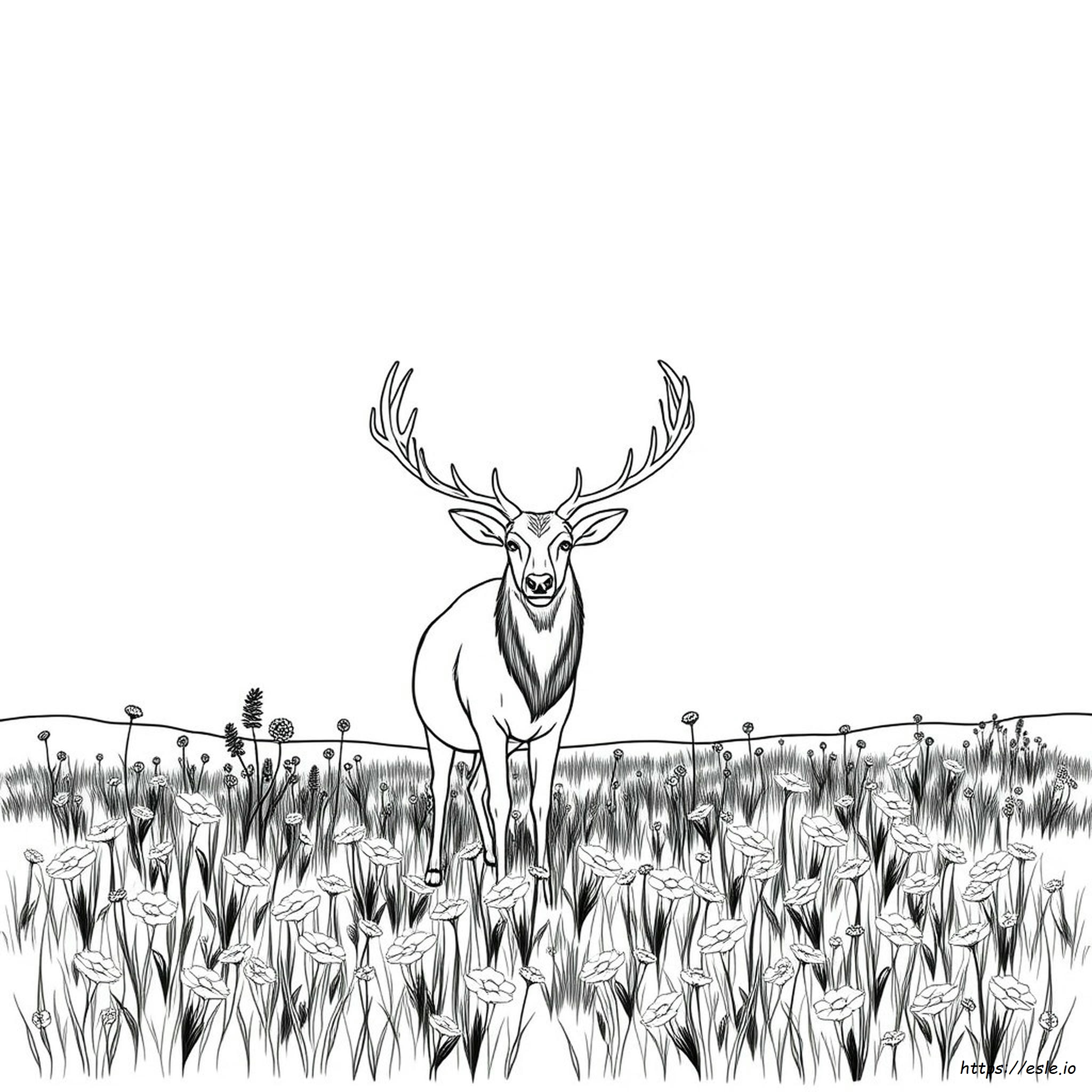 Free Coloring Pages Of Elk