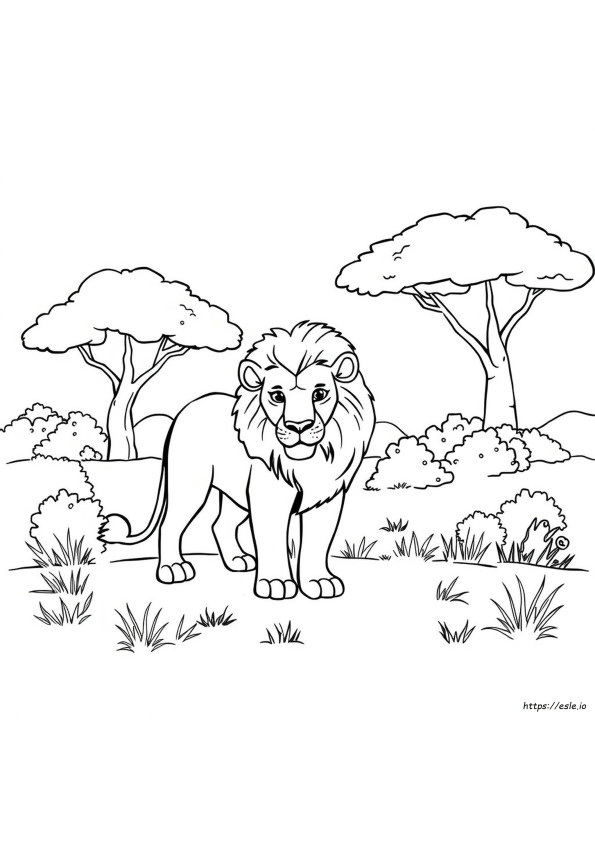 Animali Da Colorare E Stampare Gratis