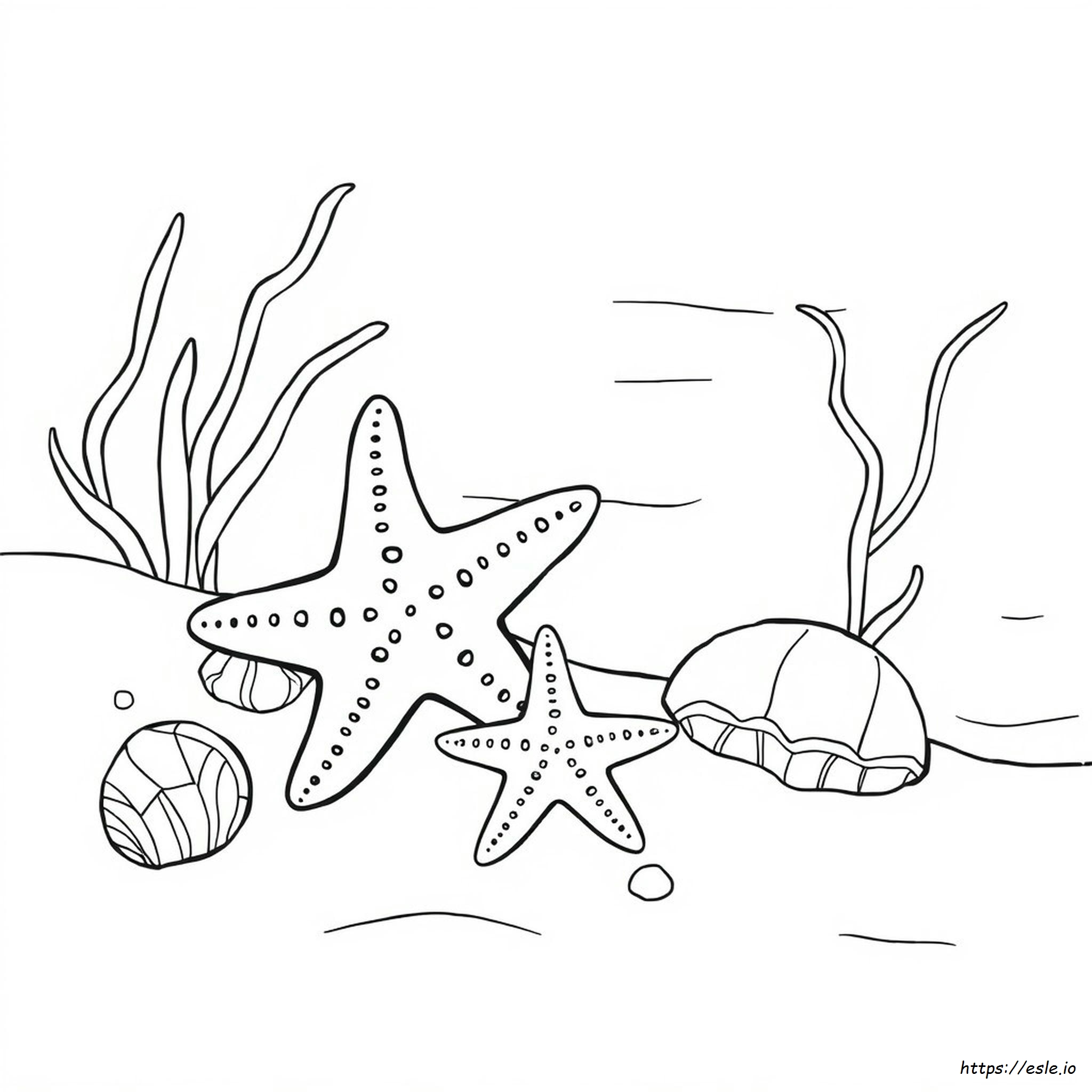 Starfish Coloring Book Page