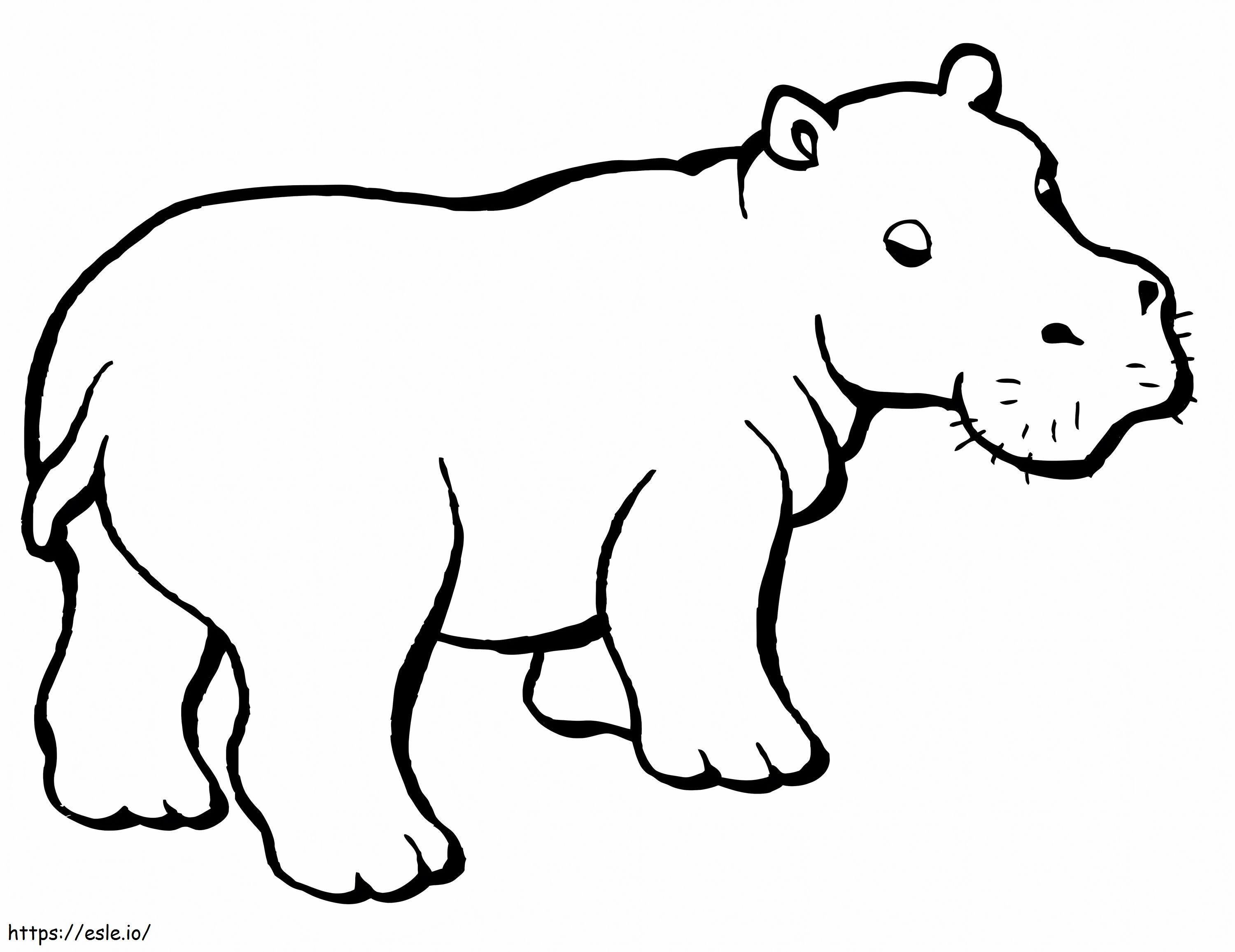  Hipopótamo para colorir