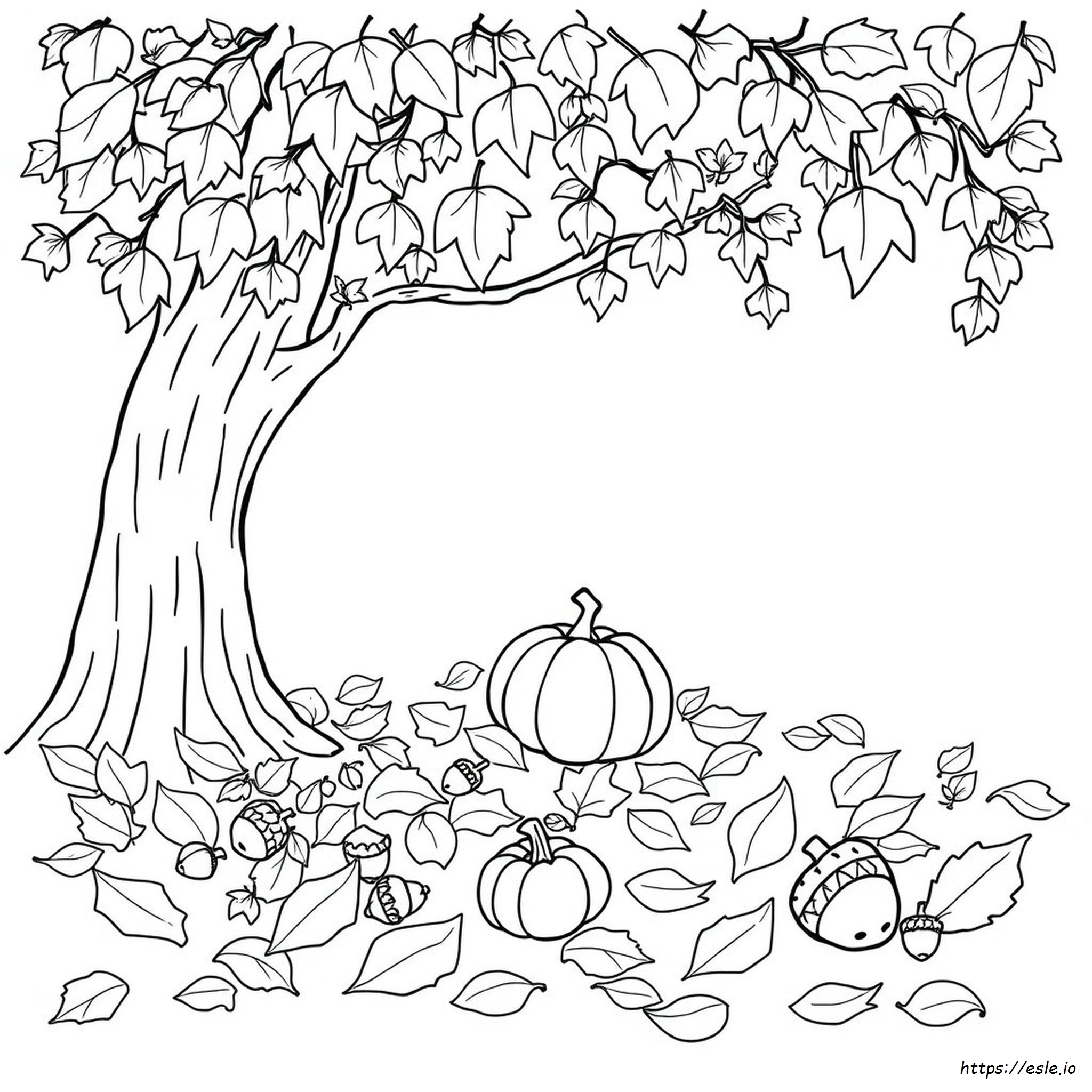 Herbstbilder Ausmalbilder