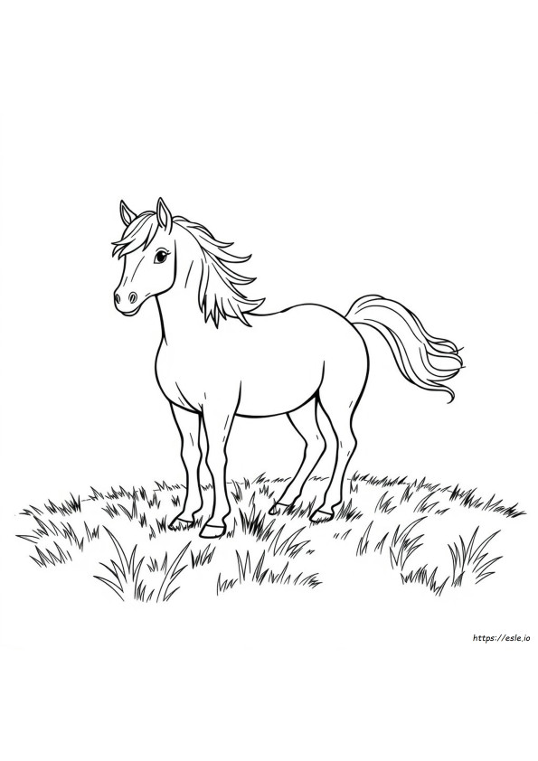 Coloriages Poney Réaliste
