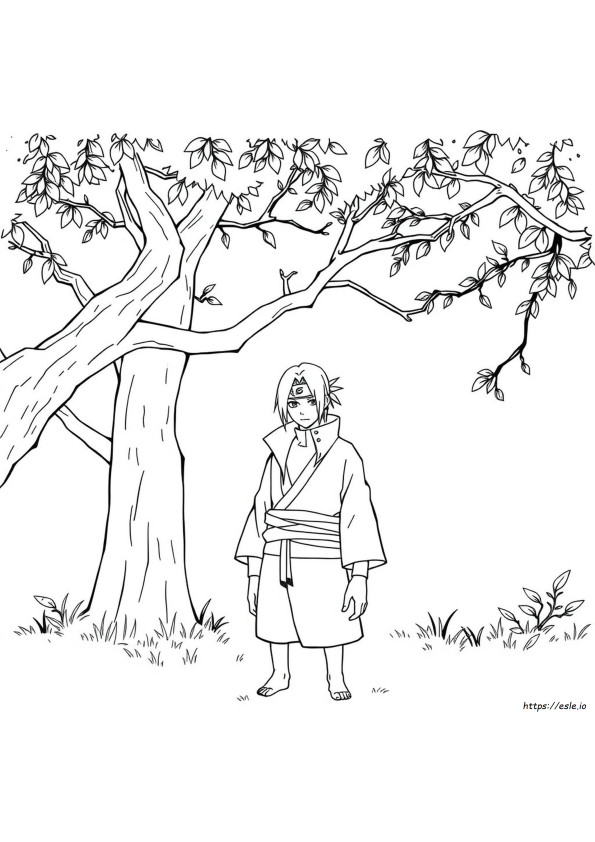 イタチ 塗り絵