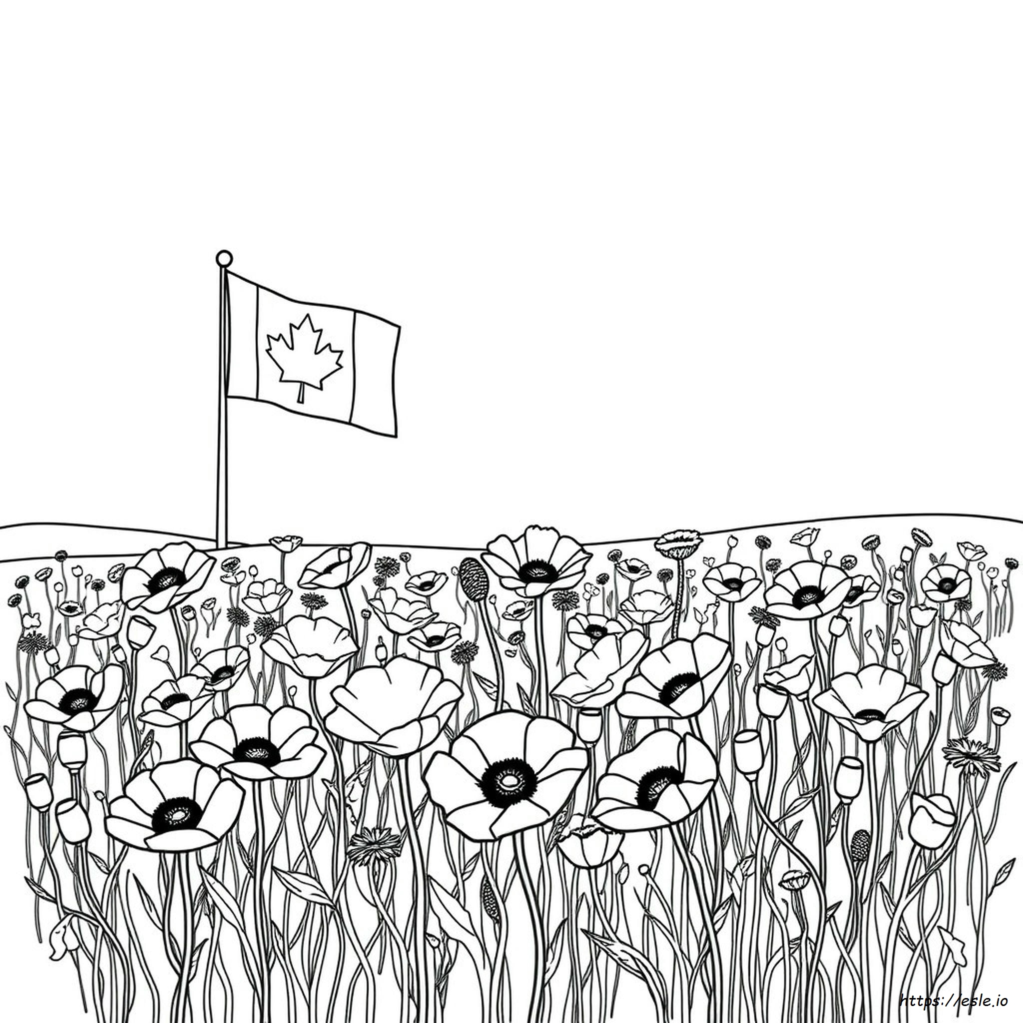 Remembrance Day Colouring Pages Canada