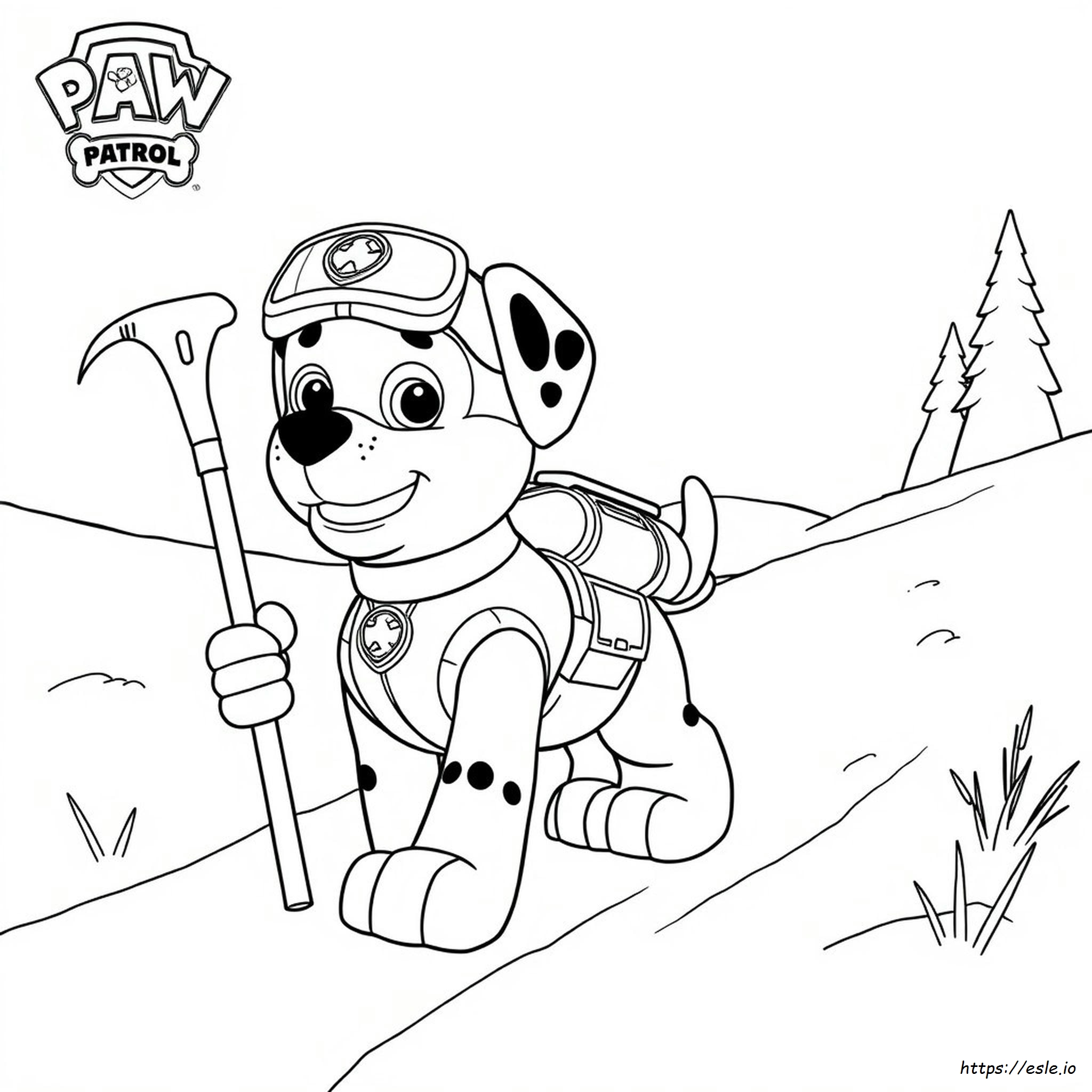 Paw Patrol Mighty Pups Rocky: Disegni Da Colorare