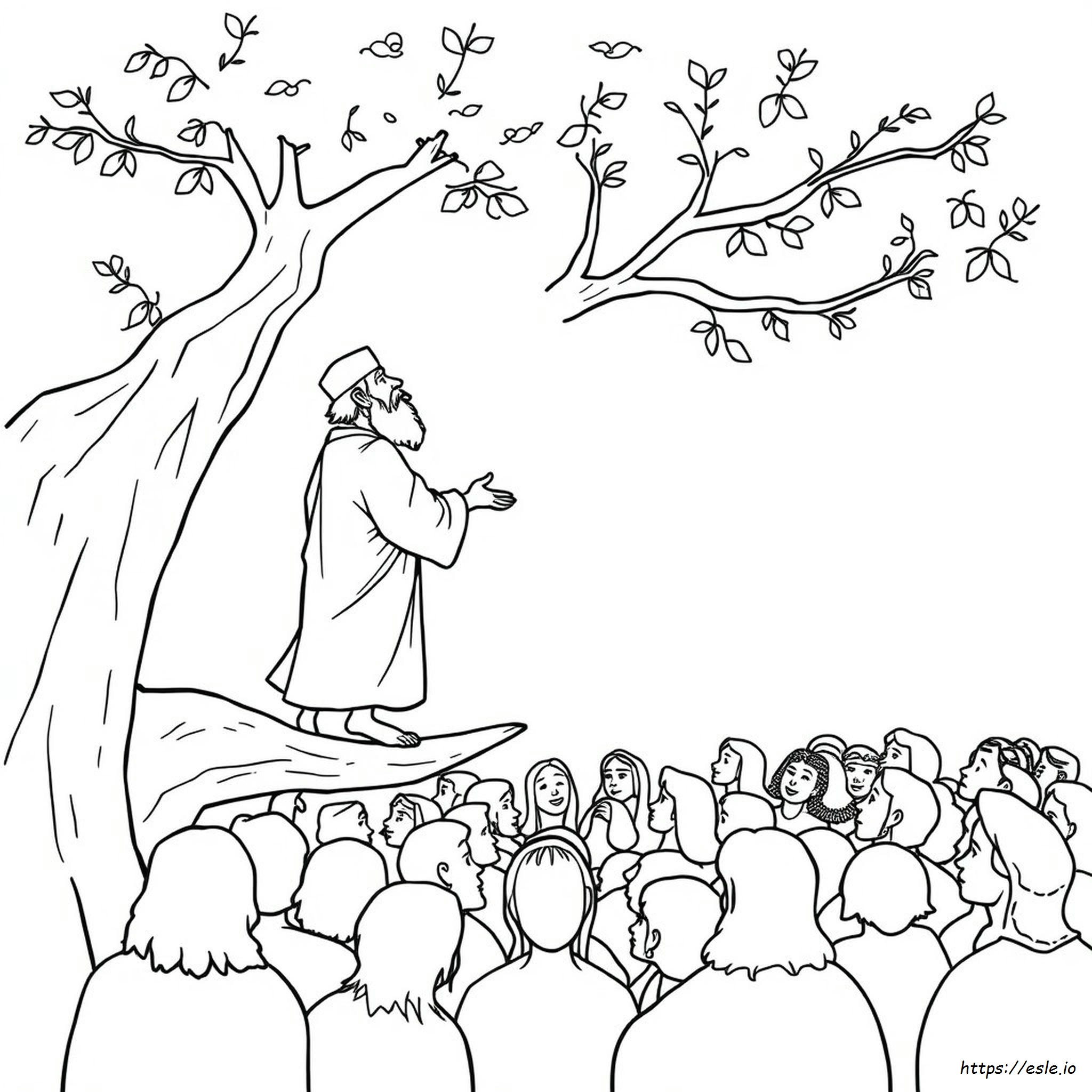 Zacchaeus Ausmalbild Kostenlos Zum Ausdrucken