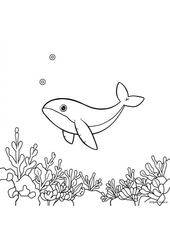 Wailord Para Colorear