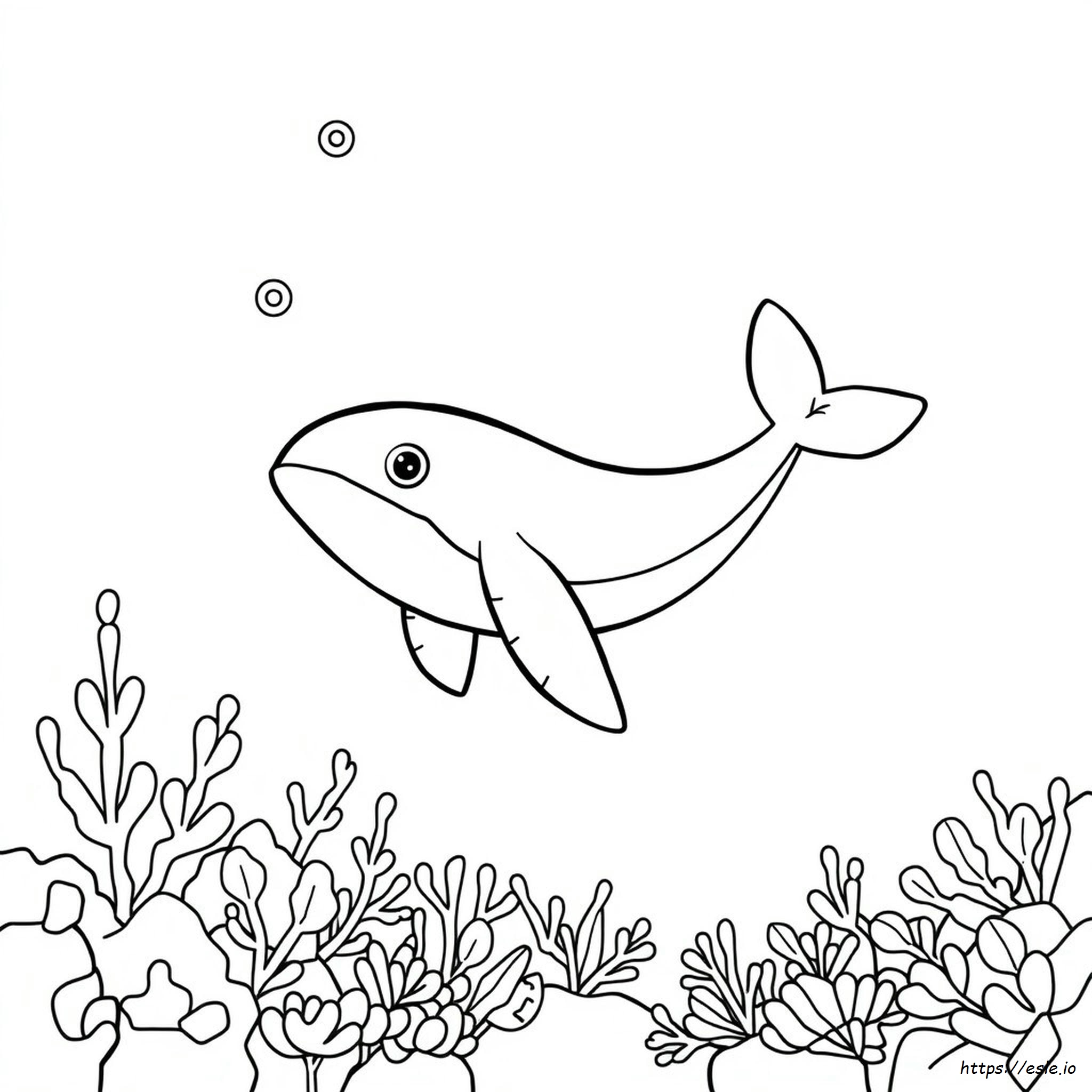 Wailord Coloring Page