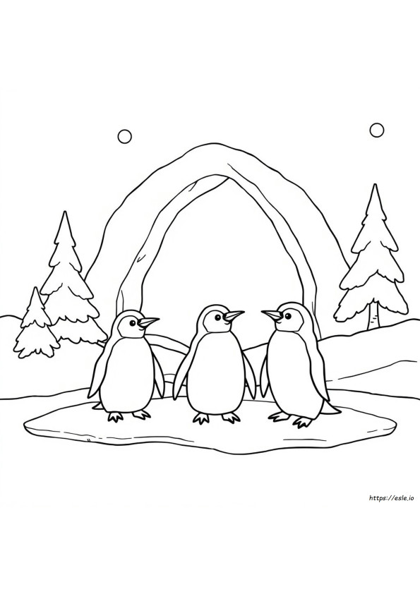 Animales Polares Para Colorear Gratis