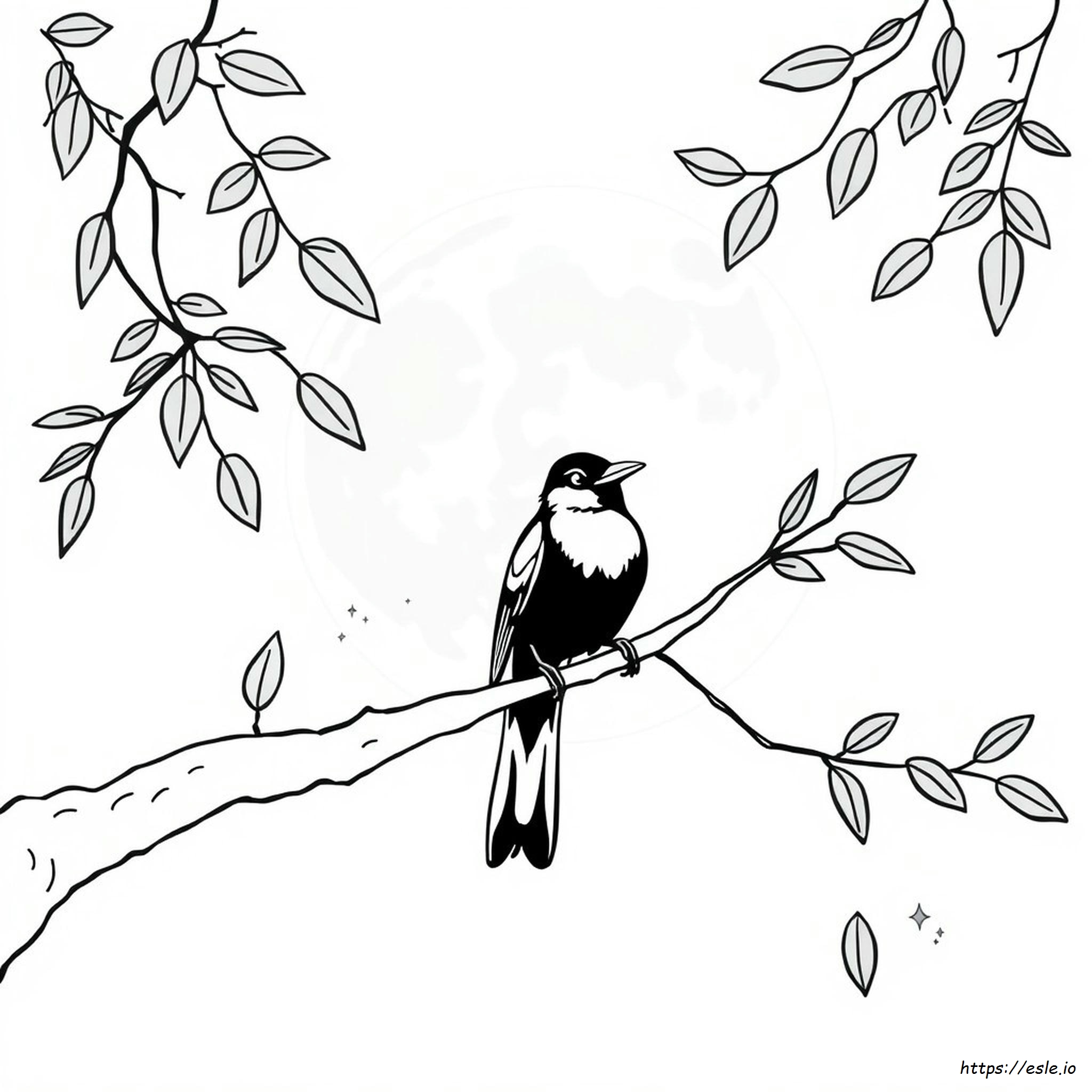Black Canary Coloring Pages