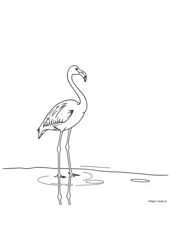 Planșă De Colorat Cu Flamingo Pentru Adulți