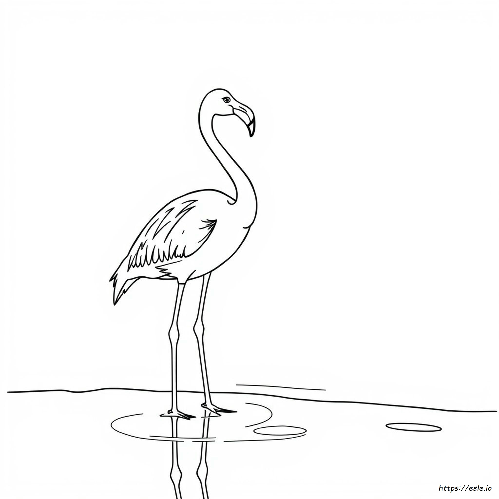 Flamingo Adult Coloring Page