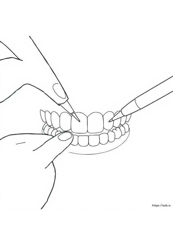 Cuál Es El Mejor Color Para Las Carillas Dentales