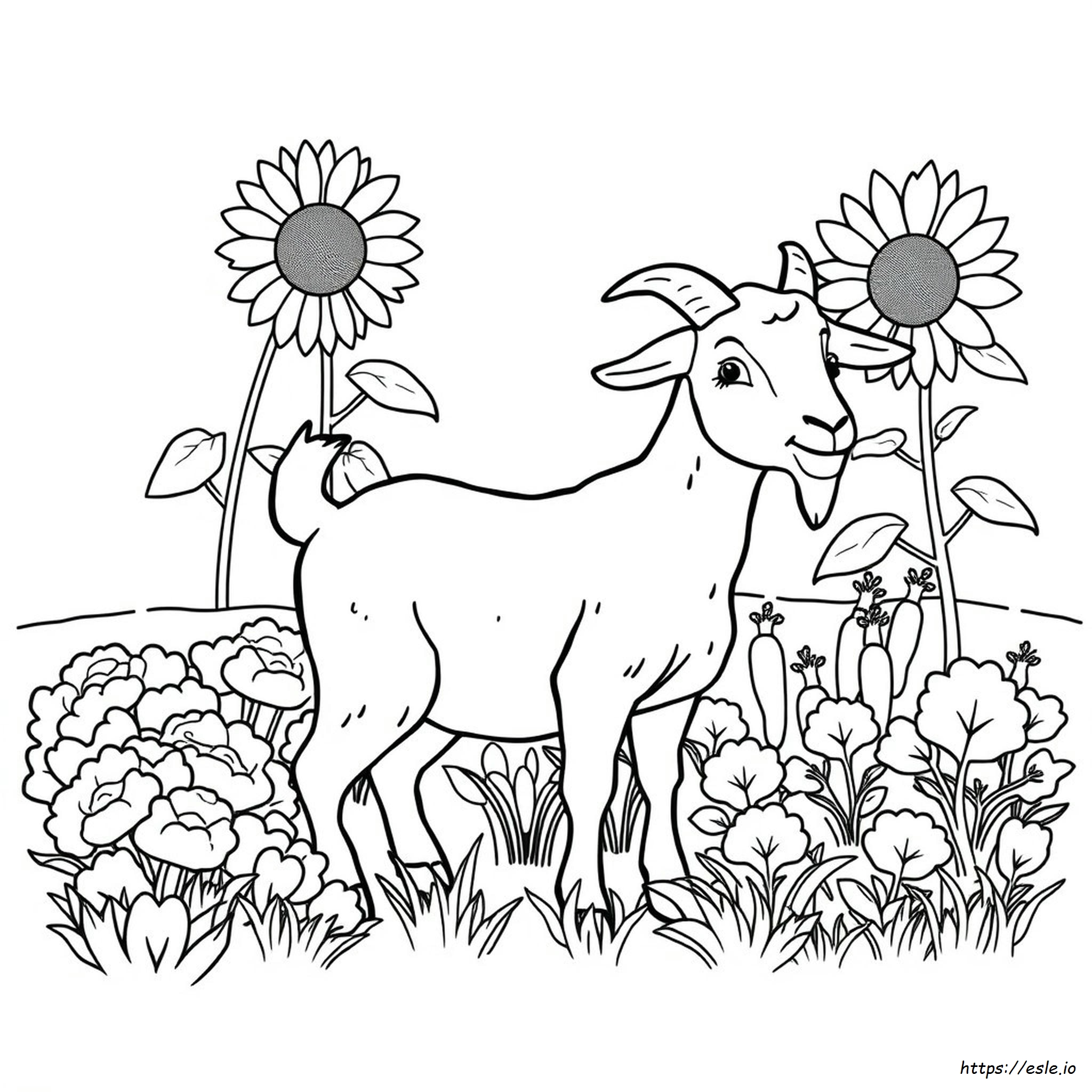Go Grow Glow Foods Coloring Pages