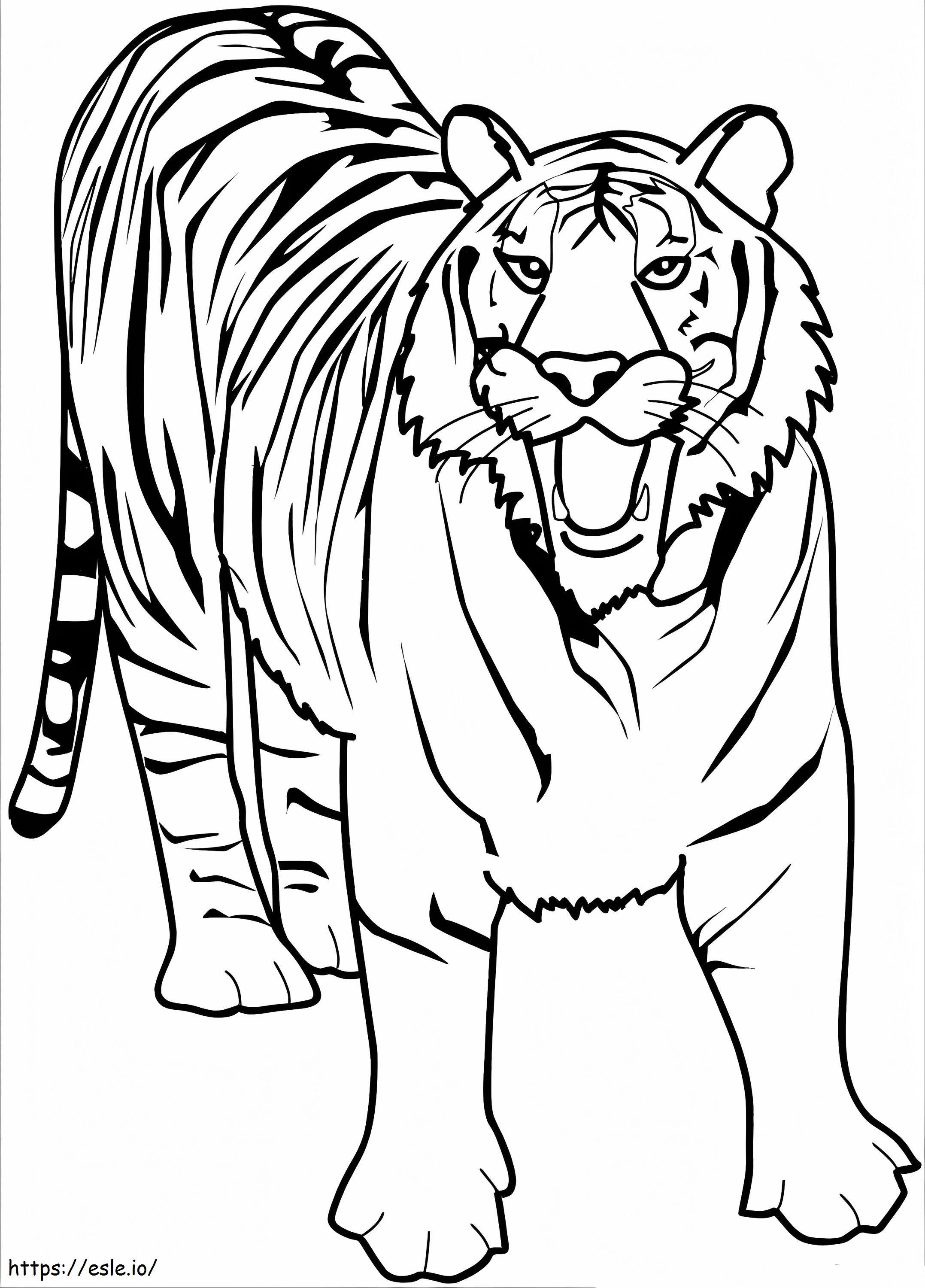 Afdrukbare tijger kleurplaat kleurplaat