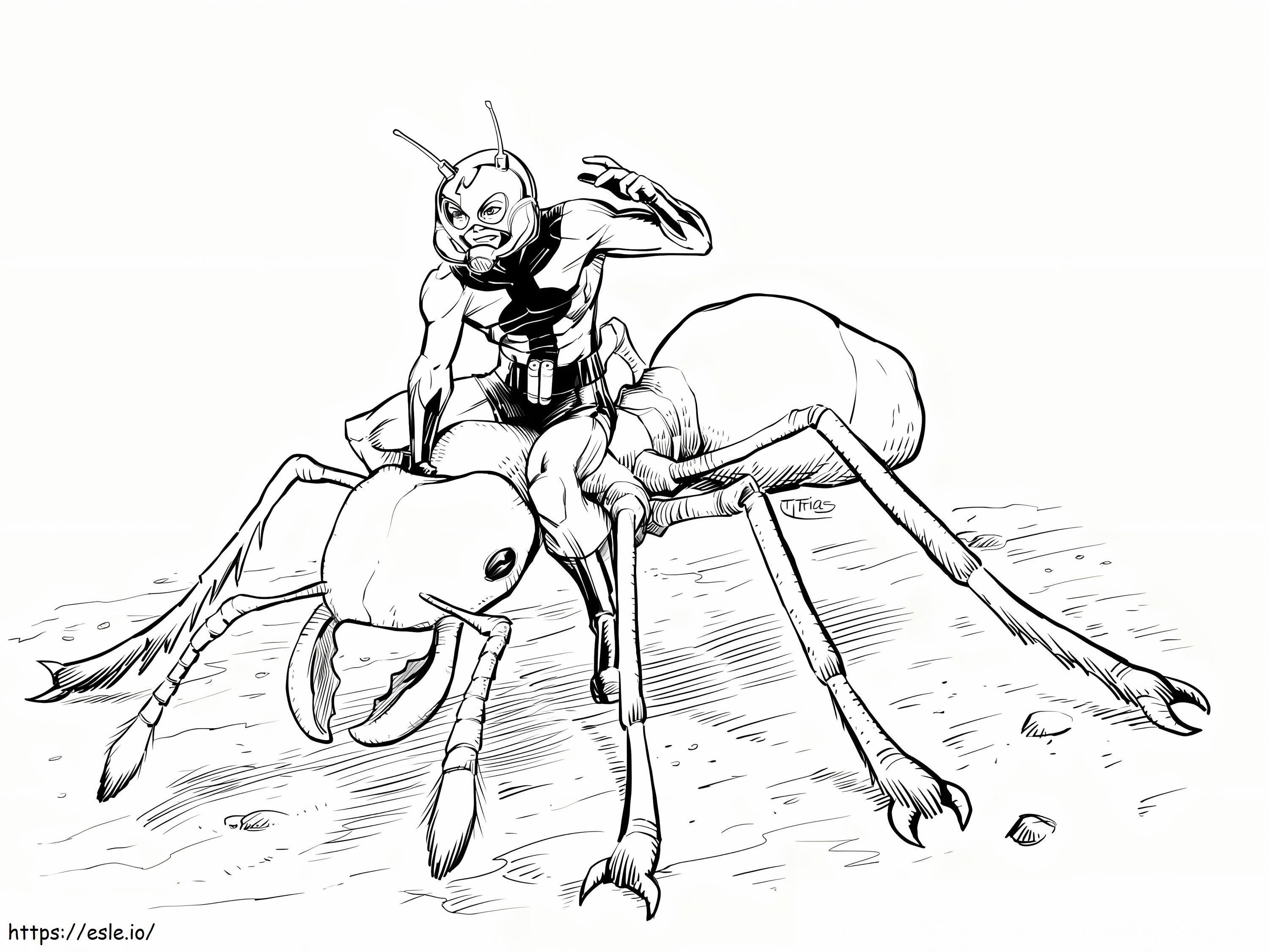 Coloriage fourmi, homme, équitation, fourmi à imprimer dessin