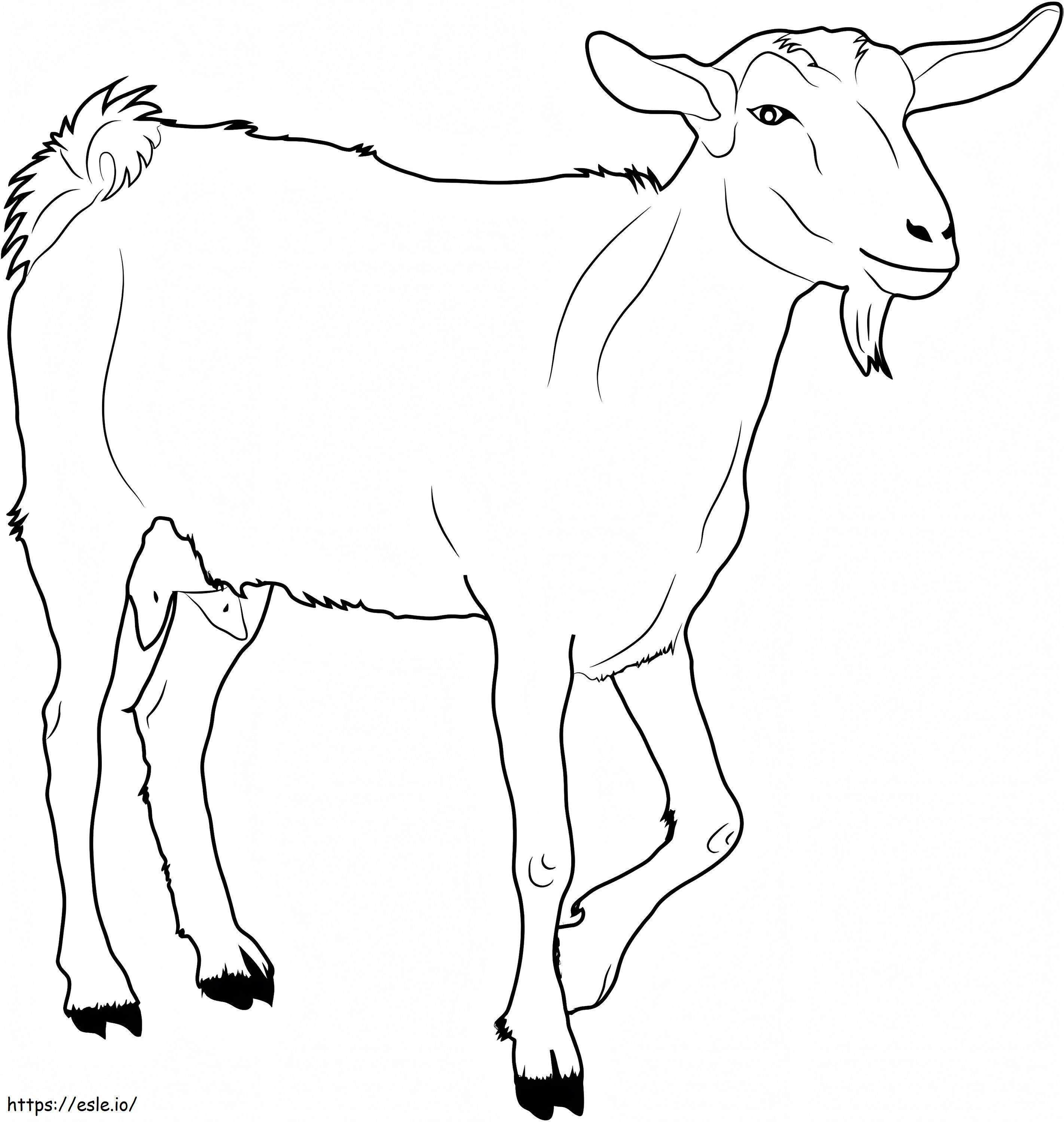 Goat Walking coloring page