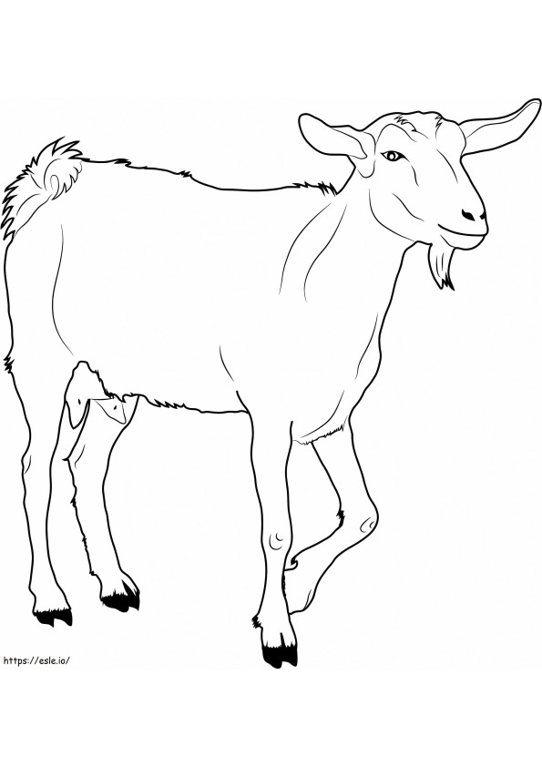 Coloriage Marche de chèvre à imprimer dessin