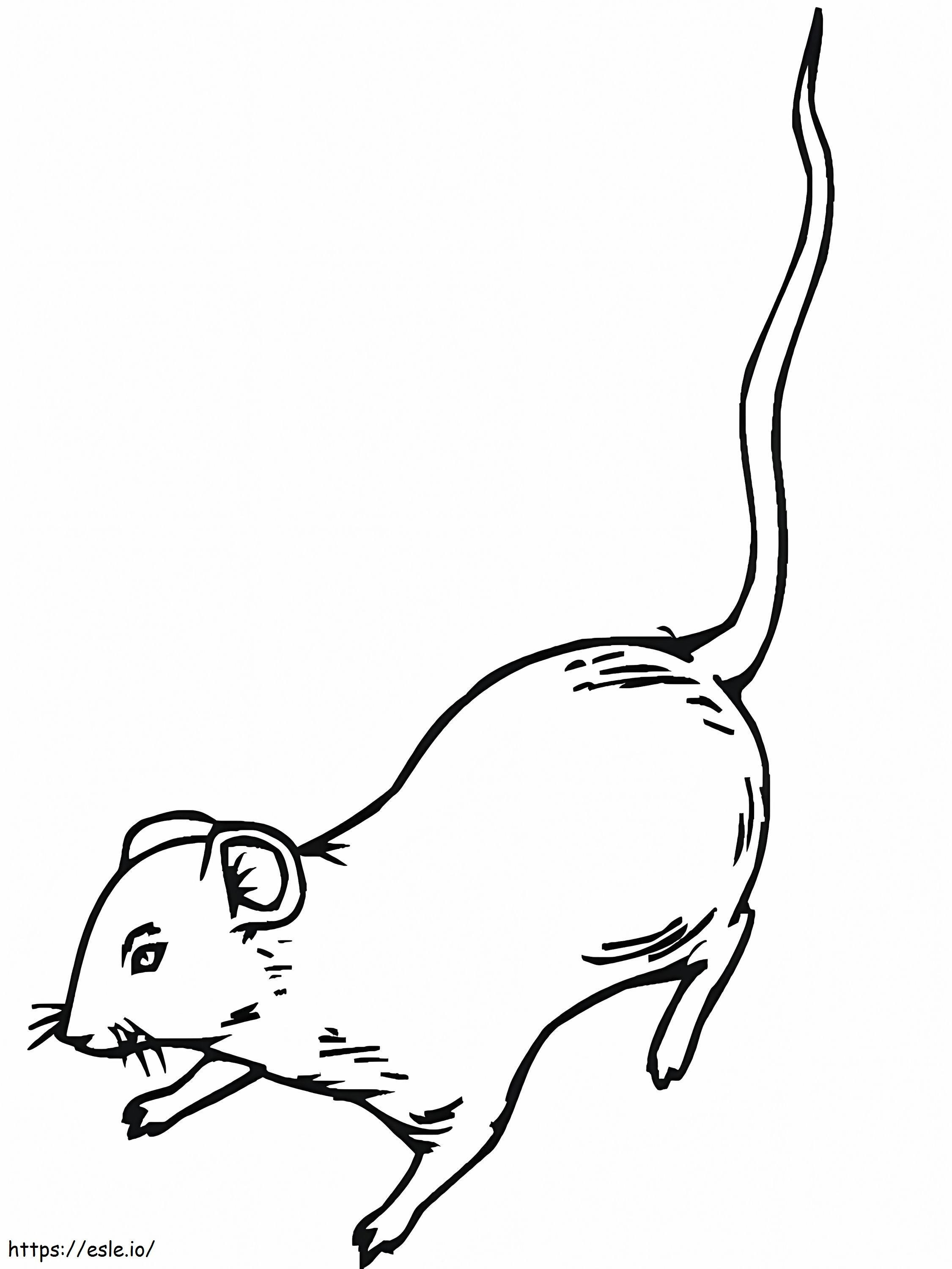 Coloriage Rat normal à imprimer dessin