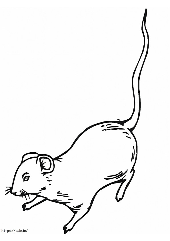 Coloriage Rat normal à imprimer dessin