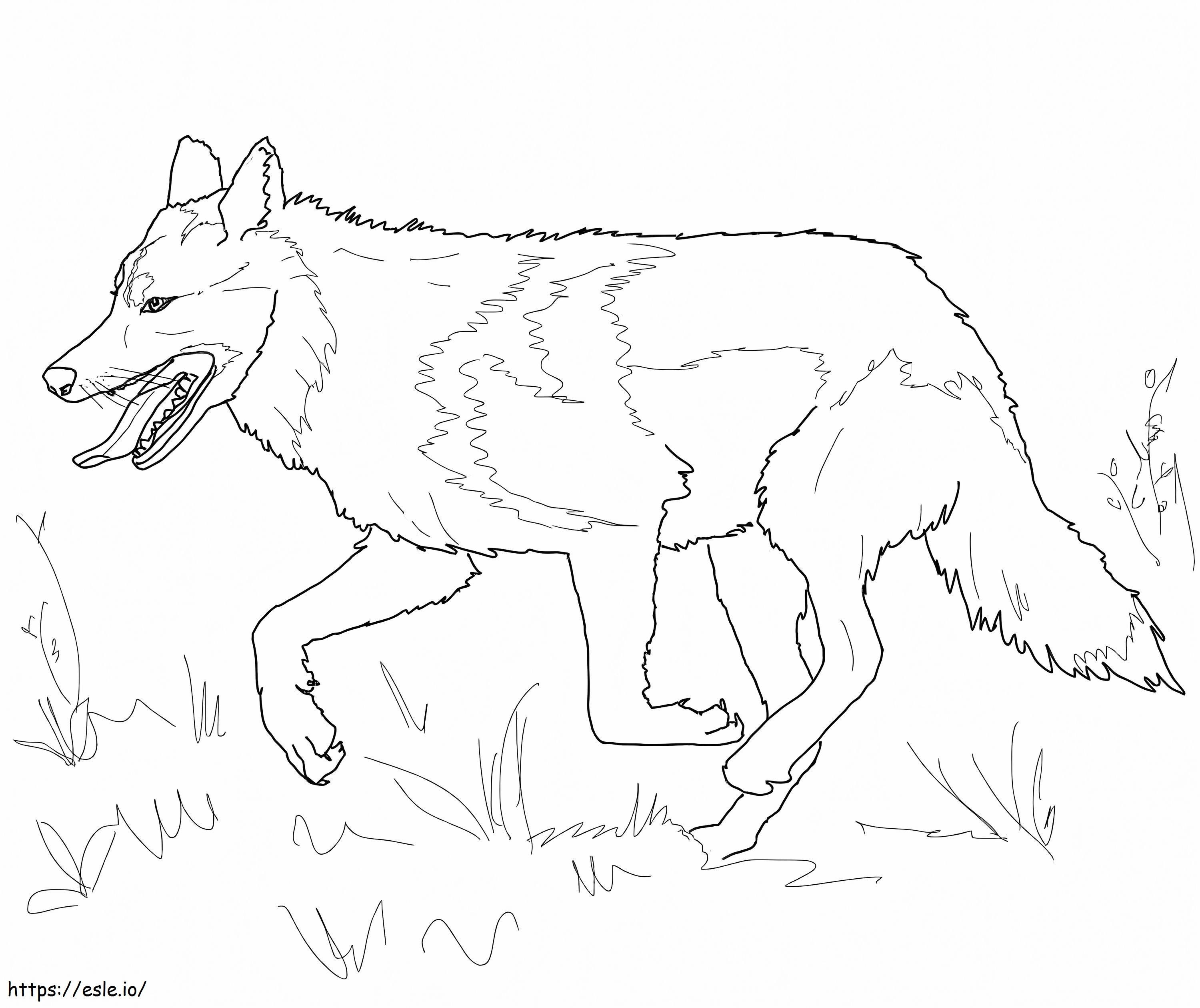 Lobo caminando para colorear