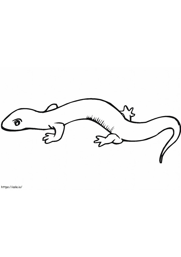 Salamander 9 coloring page