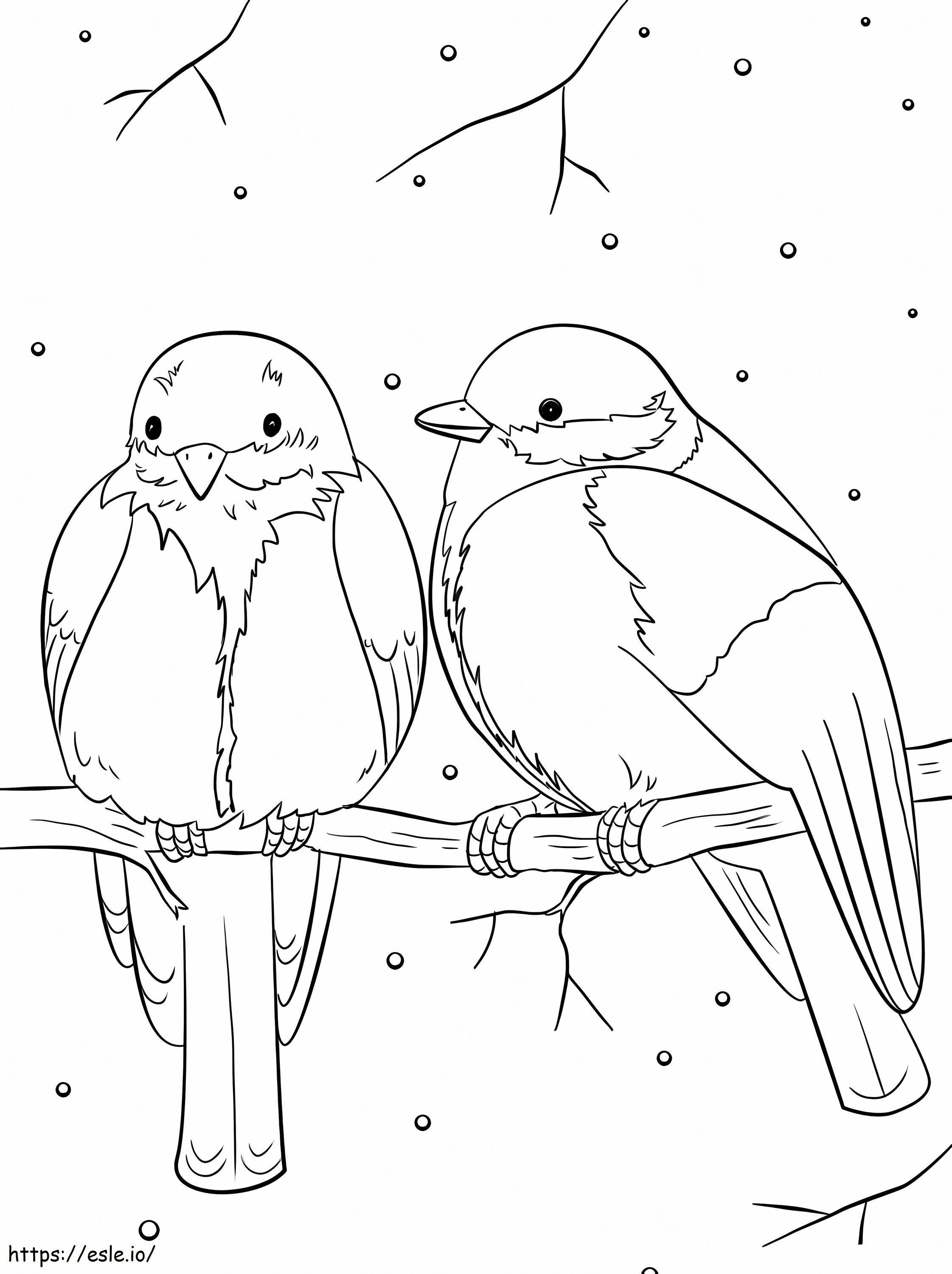 Coloriage Oiseaux d'hiver à imprimer dessin