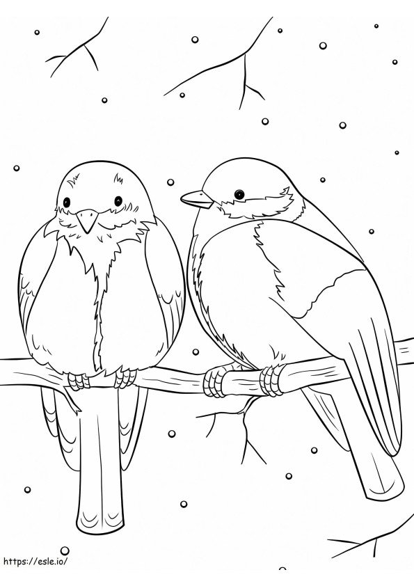 Winterse vogels kleurplaat