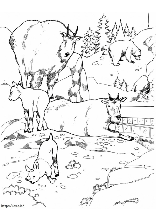 Goats And Bear In A Zoo coloring page