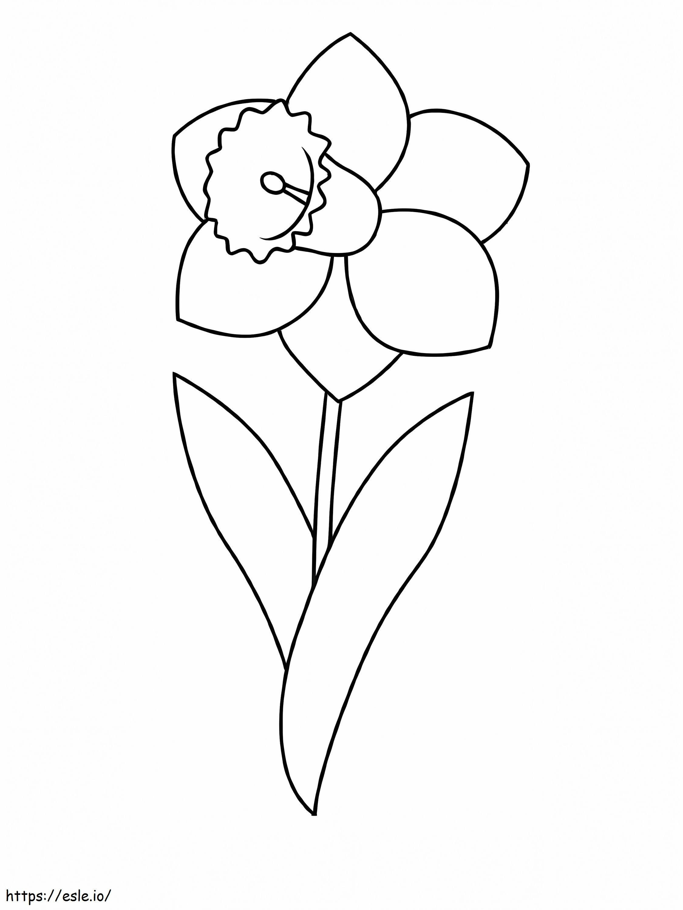 Daffodil Besar Gambar Mewarnai