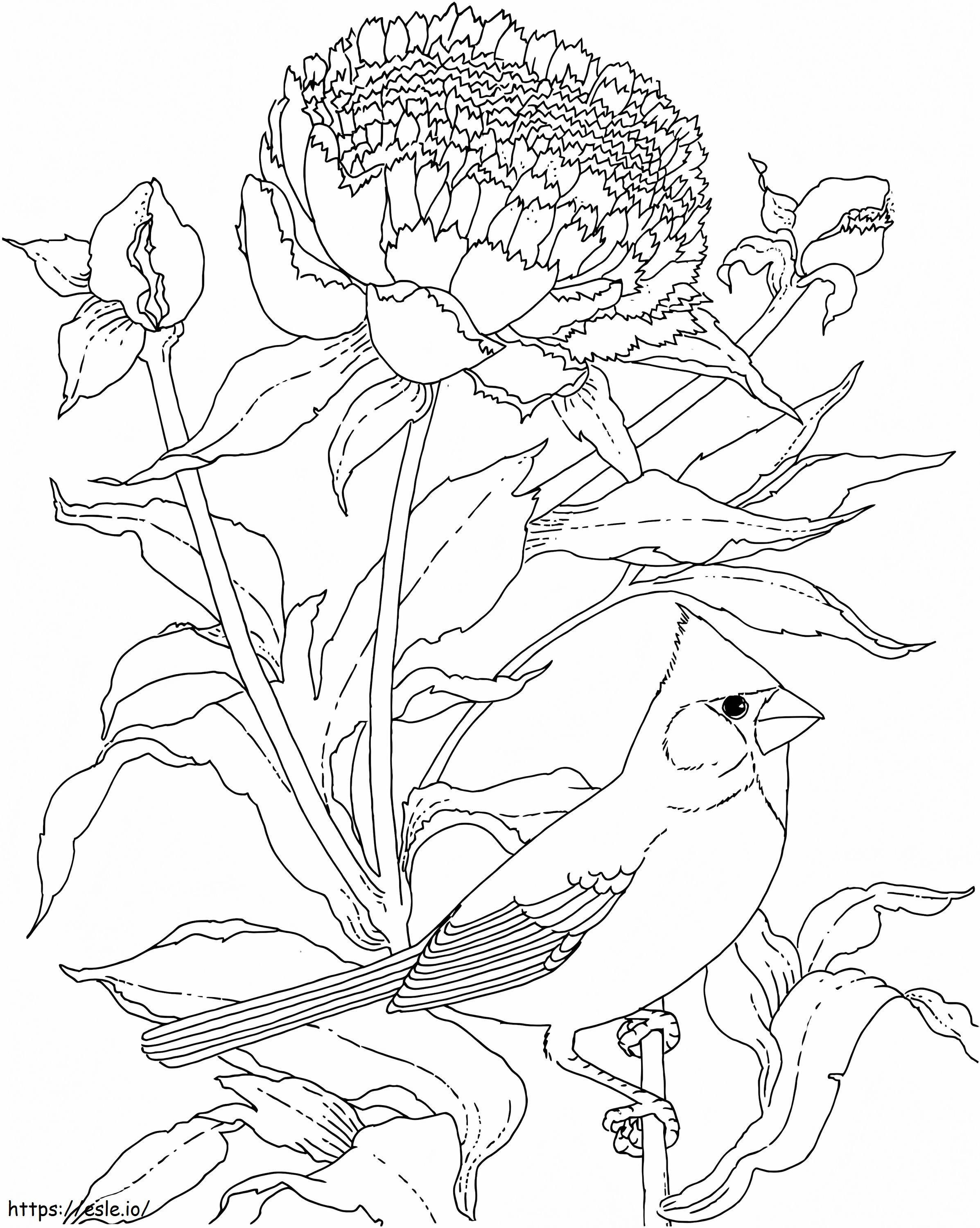 Cardinal And Flower coloring page