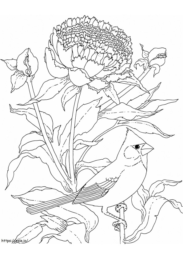 kardinal ve çiçek boyama